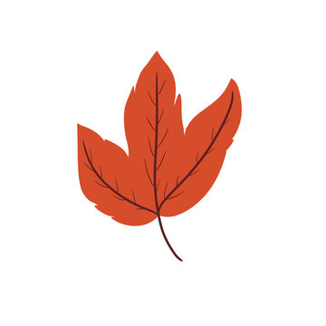 Autumn Leaf Illustration &ndash; Orange Botanical Fall Season Decorative Leaf