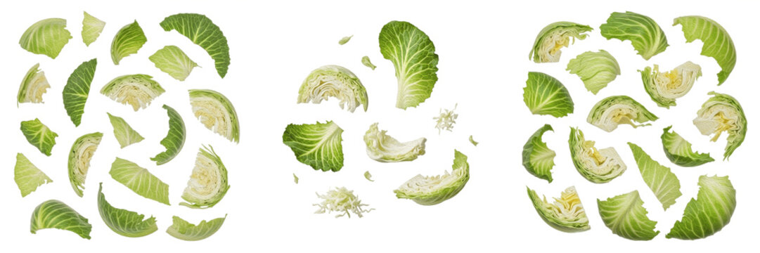 Fresh Green Cabbage Leaves Set: Realistic Sliced and Chopped Cabbage Pieces Isolated on White Background
