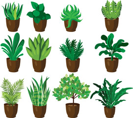 Indoor Plant Set Minimal Interior Design Decor Banner Flayer Green Nature Day Gardening Leaves Pot Different Types of Plants Vector © SisterStroke