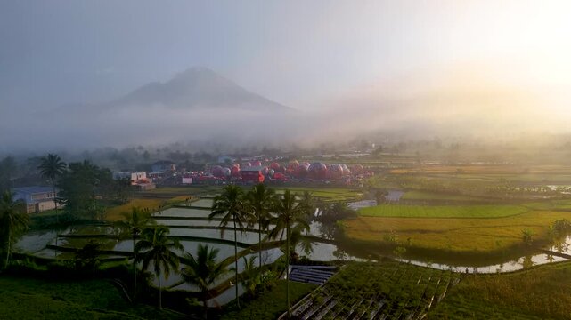 A breathtaking sunrise view of hot air balloons being prepared for launch in a mist-covered rural landscape. Surrounded by reflective rice terraces, palm trees, and a distant mountain silhouette.