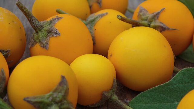 Yellow eggplants in the garden.