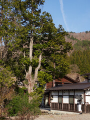 春の世界遺産白川郷の村の風景と女性観光客 © zheng qiang