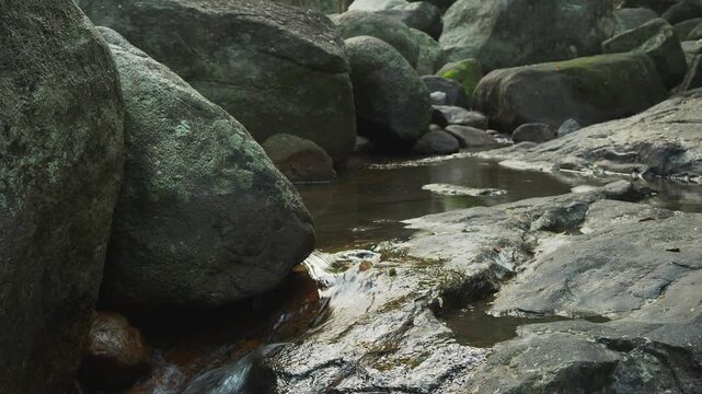 Jungle spring over stone bed during dry season
