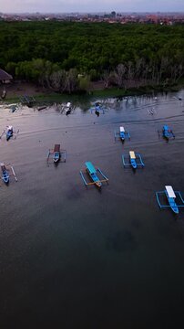 Aerial View of Traditional Jukung Fishing Boats Anchored Near Mangrove Forest at Sidakarya Beach Bali