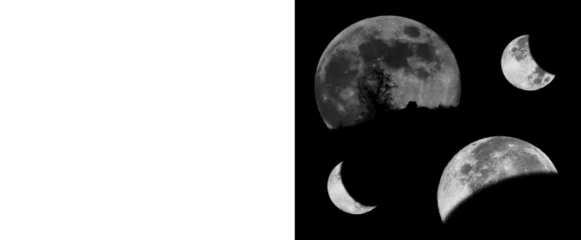 Artistic Moon Phases Set with Tree Silhouette and Lunar Eclipse Isolated on Black Background © Creative Studio 