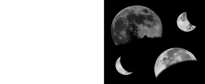 Artistic Moon Phases Set with Tree Silhouette and Lunar Eclipse Isolated on Black Background