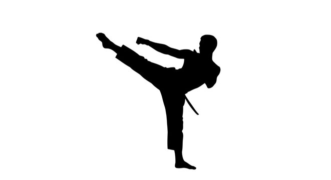 Karate athlete silhouette martial arts isolated on white background