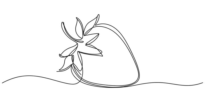 A minimalist single line drawing of a ripe strawberry fruit with leaves on a plain white background Vector, illustration