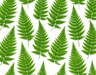 Obraz premium Vibrant Green Ferns - A Botanical Pattern on White.