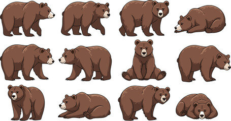 Fototapeta premium Brown Bear Pose Collection with Walking, Sitting, and Resting Wildlife Animals in Cartoon Style for Nature Illustration, Animal Design, and Forest Collection