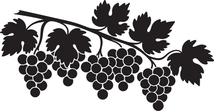 Black silhouette of grape clusters growing on a vine with leaves sketch vector illustration