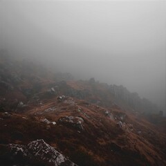 Obraz premium Misty morning fog rolls over a vast mountain landscape as dawn light illuminates the forest and valley clouds in a serene nature panorama