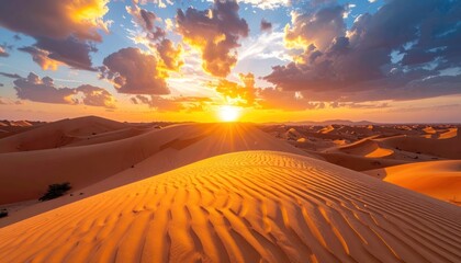 Naklejka premium Golden expanse beneath a celestial glow