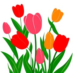 Obraz premium Vibrant bouquet of tulips in various colors, showcasing the beauty of spring flora