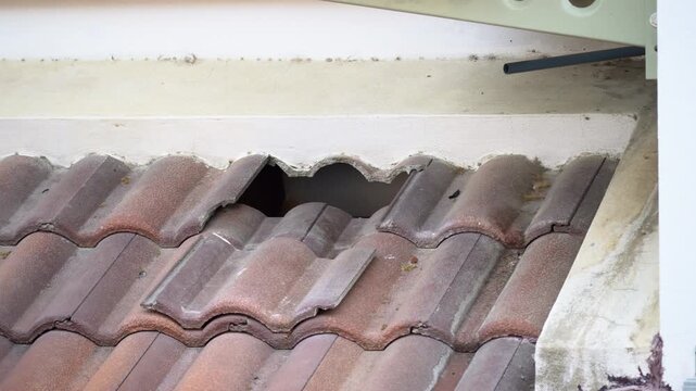 Damaged old roof tile in need of repair.
