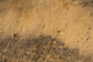 Fototapeta premium Golden waves texture of sand dunes on a river bank