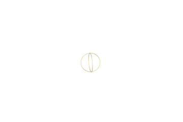Fototapeta premium basketball ball isolated on white