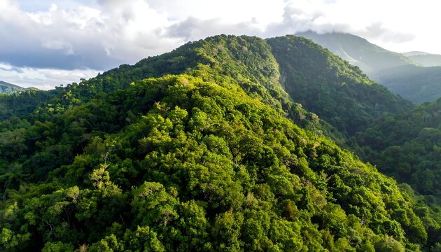 Lush, verdant hills cascade under soft light, clouds linger on distant peaks, creating depth in a tropical landscape