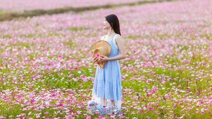 Fototapeta premium An Asian woman playing in a cosmos flower field in spring
