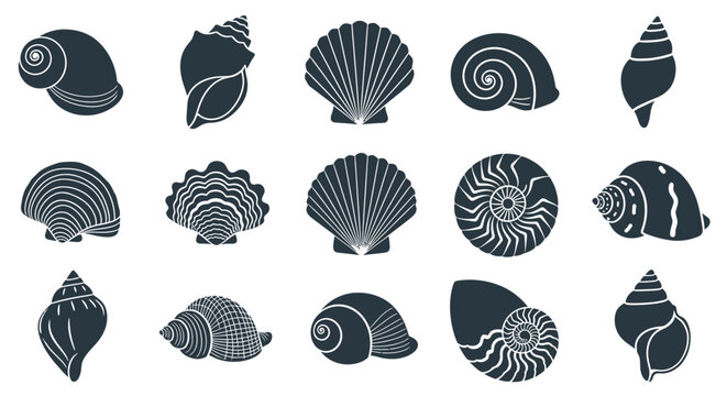 Collection of Diverse Seashell Silhouettes on White Background