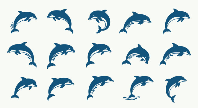 Dolphin Marine Life Pattern