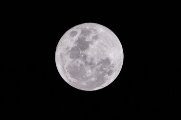 Fototapeta premium full moon in the night