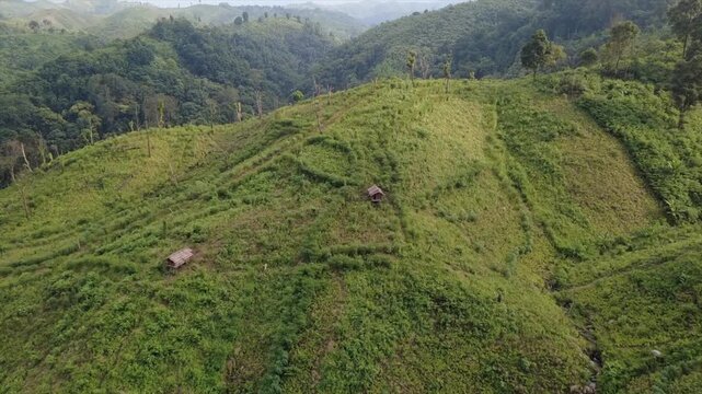 GARO HILLS MEGHALAYA JHUM CULTIVATION