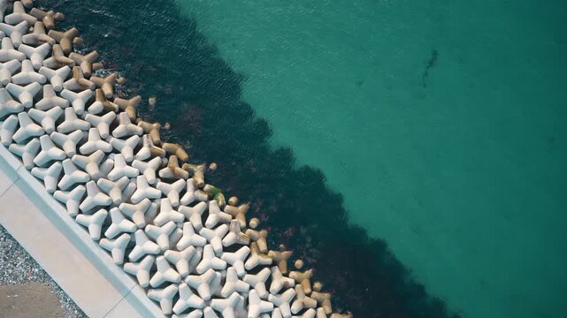 에메랄드빛 바다와 해안 방파제 테트라포드의 수직 항공 드론 뷰 (Vertical top-down aerial drone view of concrete tetrapods and emerald ocean water at the coastline)