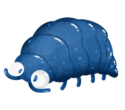 Hand drawn illustration of cute isopod with round eyes