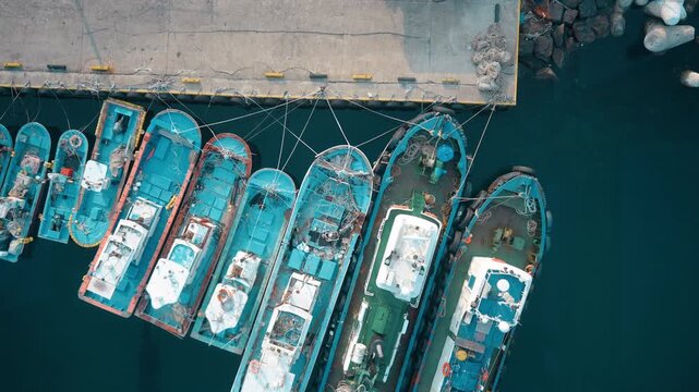 장호항 항구에 나란히 정박된 푸른색 어선들의 상세한 수직 항공 드론 뷰 (Detailed vertical top-down aerial drone view of blue fishing boats moored at Jangho Port)