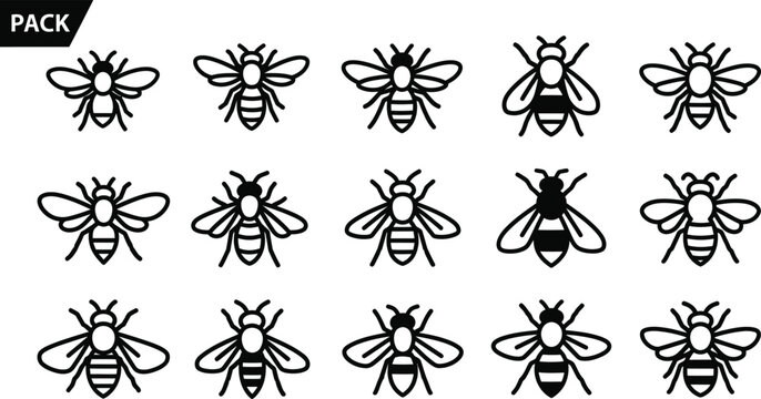Collection of black and white bee with varied stripe patterns and wing insect pack