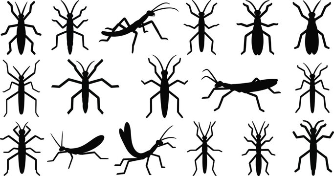 Collection of black insect silhouettes on a white background grasshopper