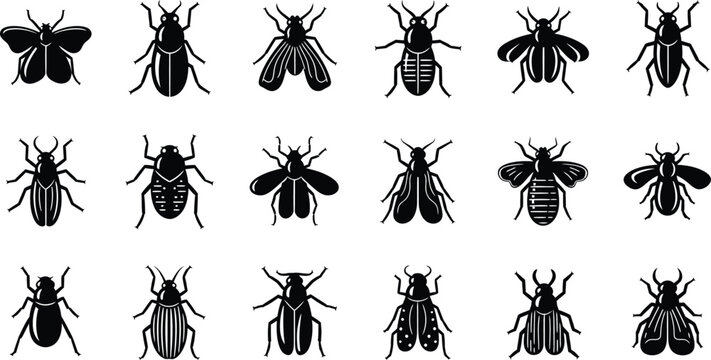 Collection of black insect with wings and antennae on white background beetle