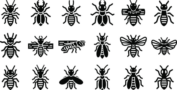 Collection of black insect including ants termites and bees on white ant termite bee insect bug pest black and white