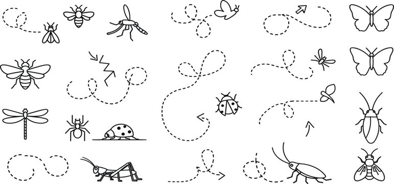 Insect Doodle Set with Flying Path Lines Featuring Bee, Butterfly, Dragonfly, Ladybug and Ant for Kids Illustration, Educational Design and Nature Sketch Collection
