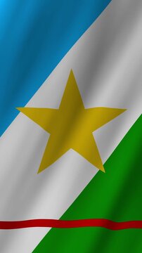 Vertical Roraima Flag 4K Brazil State Pride Animation Flag RR Symbol