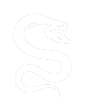 Minimalist two-headed snake vector illustration, a sleek serpent design, elegant reptile graphic, perfect for modern branding and tattoo art