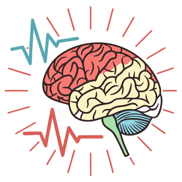 Colored human brain diagram highlighting different lobes with surrounding radiating lines and pulse waves for psychiatric and neurological education.