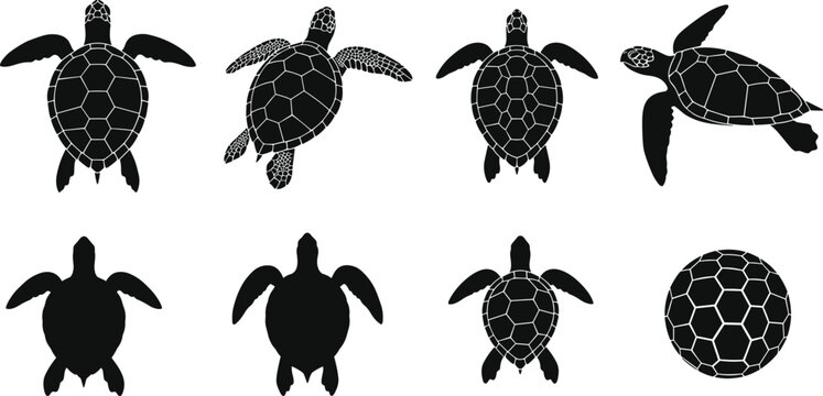 Set of sea turtle silhouettes in multiple angles with detailed shell patterns, marine wildlife vector illustration isolated on white background