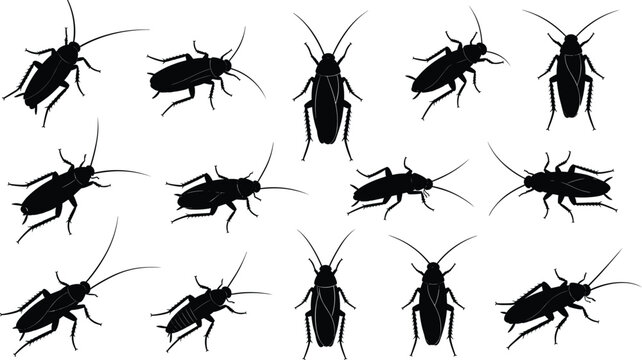 Set of cockroach silhouettes in various positions representing pest insects, infestation concept, and household hygiene issues isolated on white background