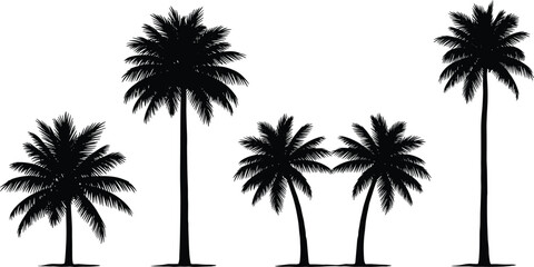 Obraz premium Silhouettes of five palm trees in a row, showcasing tropical shapes, curved trunks and botanical illustration design
