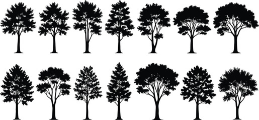 Fototapeta premium Tree silhouette collection with various forest species shapes, black and white nature vector set isolated for landscape and design use