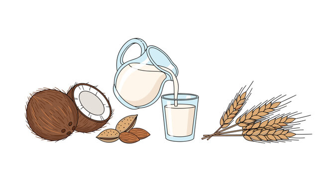 Refreshing pitcher and glass of creamy plant-based milk surrounded by its natural sources including fresh coconut, crunchy almonds, and wheat stalks.