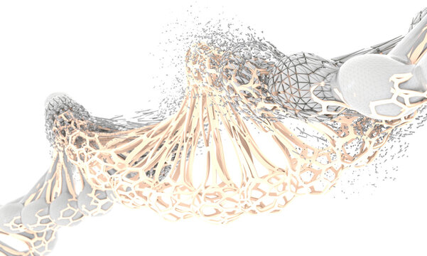 DNA Structure Evolution and Variation: Biotechnology and Genetic Replication