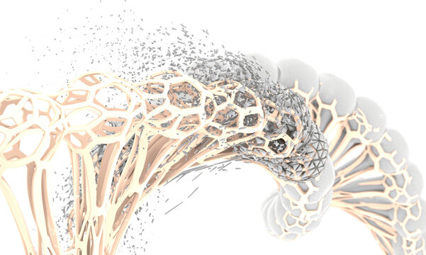 DNA Structure Evolution and Variation: Biotechnology and Genetic Replication