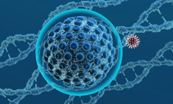 Normal cells mutate when infected by a virus.