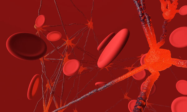 Tumors and the immune system platelets