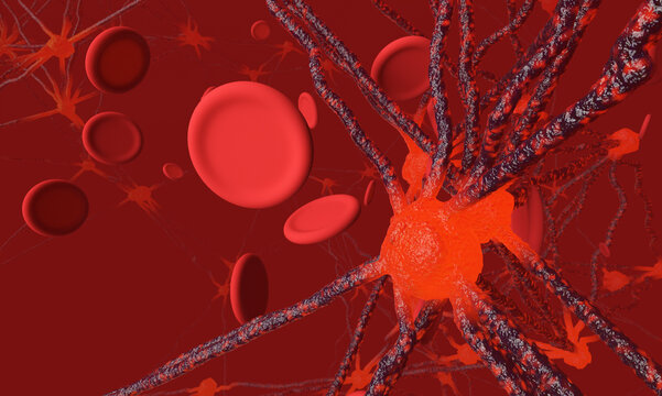 Tumors and the immune system platelets