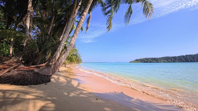 Sandy beach on a tropical paradise island with coconut palms and turquoise water