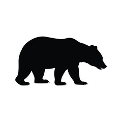 Fototapeta premium Black and white bear walking, detailed silhouette vector illustration of a bear, bear sniffing ground silhouette vector illustration